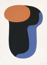 fission n1 internet.jpg